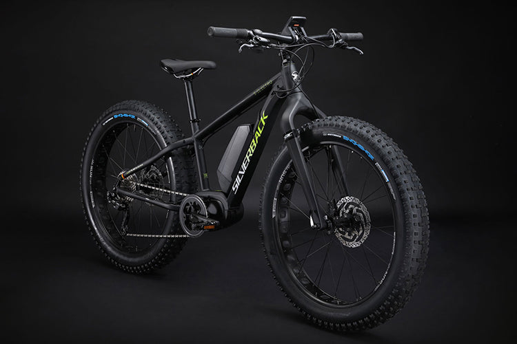 Silverback on sale e fatbike